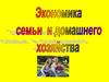 Экономика семьи и домашнего хозяйства