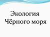 Экология Черного моря