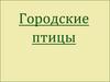 Городские птицы