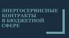 Энергосервисные контракты в бюджетной сфере