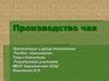 Чаепитие. Производство чая
