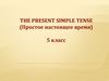 The present simple tense (простое настоящее время). 5 класс