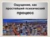 Ощущение, как простейший психический процесс