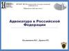 Адвокатура в Российской Федерации