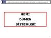 Gemi̇ dümen si̇stemleri̇