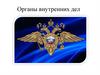 Органы внутренних дел