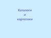 Каталоги и картотеки