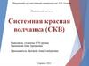 Системная красная волчанка (СКВ)