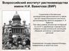 Всероссийский институт растениеводства имени Н.И. Вавилова (ВИР)