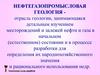 Геологические основы разработки нефтяных и газовых месторождений