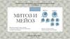 Митоз и мейоз