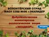 Добровольческая волонтерская экологическая акция «Экодвор!»