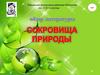 Сокровища природы