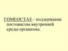 Регуляция функций организма человека. Эндокринный аппарат