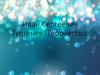 Иван Сергеевич Тургенев. Творчество
