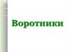 Воротники. Назначение воротников