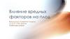 Влияние вредных факторов на плод во время беременности
