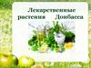 Лекарственные растения Донбасса