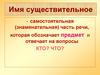 Имя существительное