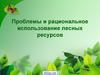 Проблемы и рациональное использование лесных ресурсов