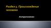Происхождение человека. Лекция 28