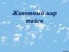 Животный мир тайги