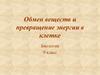 Обмен веществ и превращение энергии в клетке