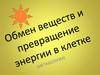 Обмен веществ и превращение энергии в клетке