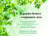Бережём бумагу – сохраняем леса