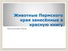 Животные Пермского края занесённые в красную книгу