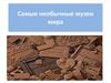 Самые необычные музеи мира