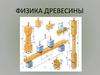 Физика древесины