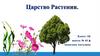 Царство Растения