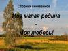 Сборник синквейнов. Моя малая родина моя любовь!