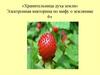 «Хранительница духа земли» Электронная викторина по мифу о землянике