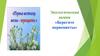 Экологическая акция «Берегите первоцветы»