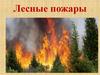 Лесные пожары