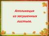 Аппликация из засушенных листьев