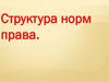 Структура норм права
