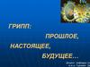Грипп: прошлое, настоящее, будущее…