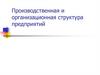 Производственная и организационная структура предприятий