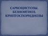 Саркоцистозы, безноитиоз, криптоспоридиозы у домашних животных