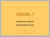 Visual 1