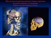 Методи візуалізації анатомічних утворів сучасними методами клінічнго дослідження. Пакет для підготовки до іспитів