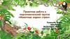 Проектная работа в подготовительной группе «Животные жарких стран»