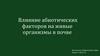 Влияние абиотических факторов на живых организмов в почве