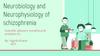 Neurobiology and neurophysiology of schizophrenia