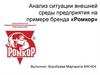 Анализ ситуации внешней среды предприятия на примере бренда «Ромкор»