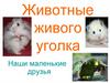 Животные живого уголка. Наши маленькие друзья
