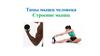 Типы мышц человека. Строение мышц